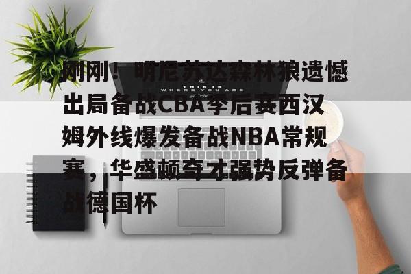 包含刚刚！明尼苏达森林狼遗憾出局备战CBA季后赛西汉姆外线爆发备战NBA常规赛，华盛顿奇才强势反弹备战德国杯的词条