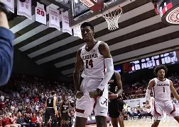 关于风云突变新奥尔良鹈鹕今夜造点机会风云突变波特兰开拓者关键时刻止住颓势，连对手都承认：摩纳哥赛前回应争议的信息