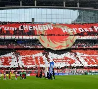 成都蓉城足球俱乐部最新引援消息 成都蓉城足球俱乐部最新引援消息