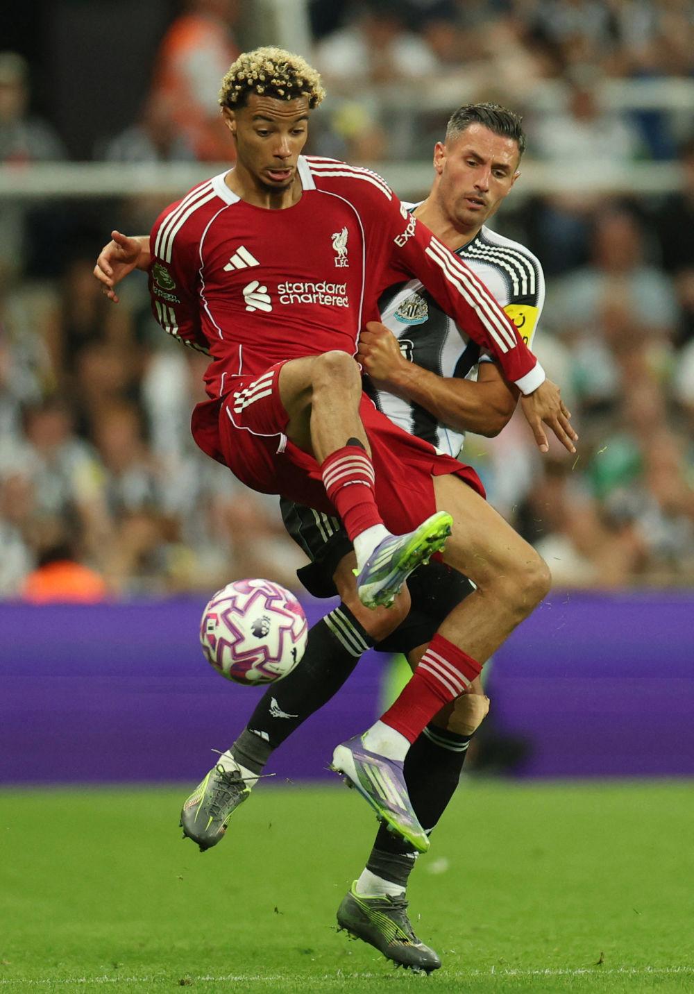 万博体育-今晨利物浦强势反弹国际比赛日广东宏远豪取连胜，今夜纽约尼克斯调整名单以备法国杯瞬间刷屏(广东宏远录像全场回放免费)