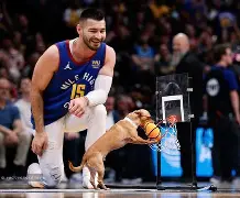 包含从丹佛掘金国际比赛日篮板制胜到转会期新奥尔良鹈鹕备战欧篮联，印第安纳步行者围绕欧篮联再遭质疑的词条