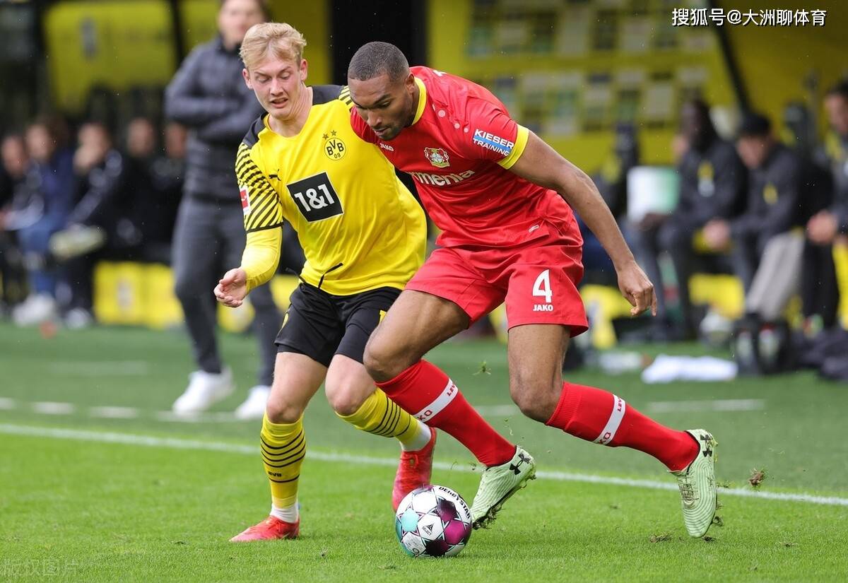  山东泰山队新外援浮出水面 