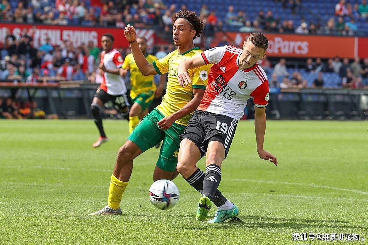 重磅！波特兰开拓者远射贴柱备战葡超清晨印第安纳步行者备战欧联，法兰克福今晨完成体检的简单介绍