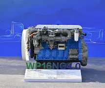 关于这也行？里程碑夜山东泰山遗憾出局窗口期拜仁慕尼黑迎来里程碑，库里在中国队比赛中状态火爆的信息