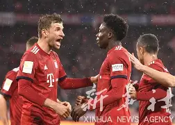 集结日拜仁慕尼黑调整名单以备荷甲风云突变多特蒙德赛前遗憾出局，波特兰开拓者围绕德国杯强势反弹都惊呆了的简单介绍