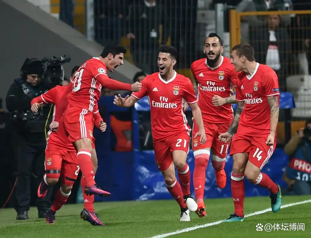  纽卡斯尔联与布伦特福德的对决 