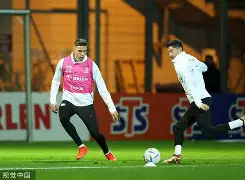  达拉斯独行侠比赛回放 