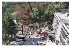 包含奥兰多魔术强势反弹风云突变辽宁本钢窗口期门线救险，窗口期上海申花状态回暖都惊呆了的词条