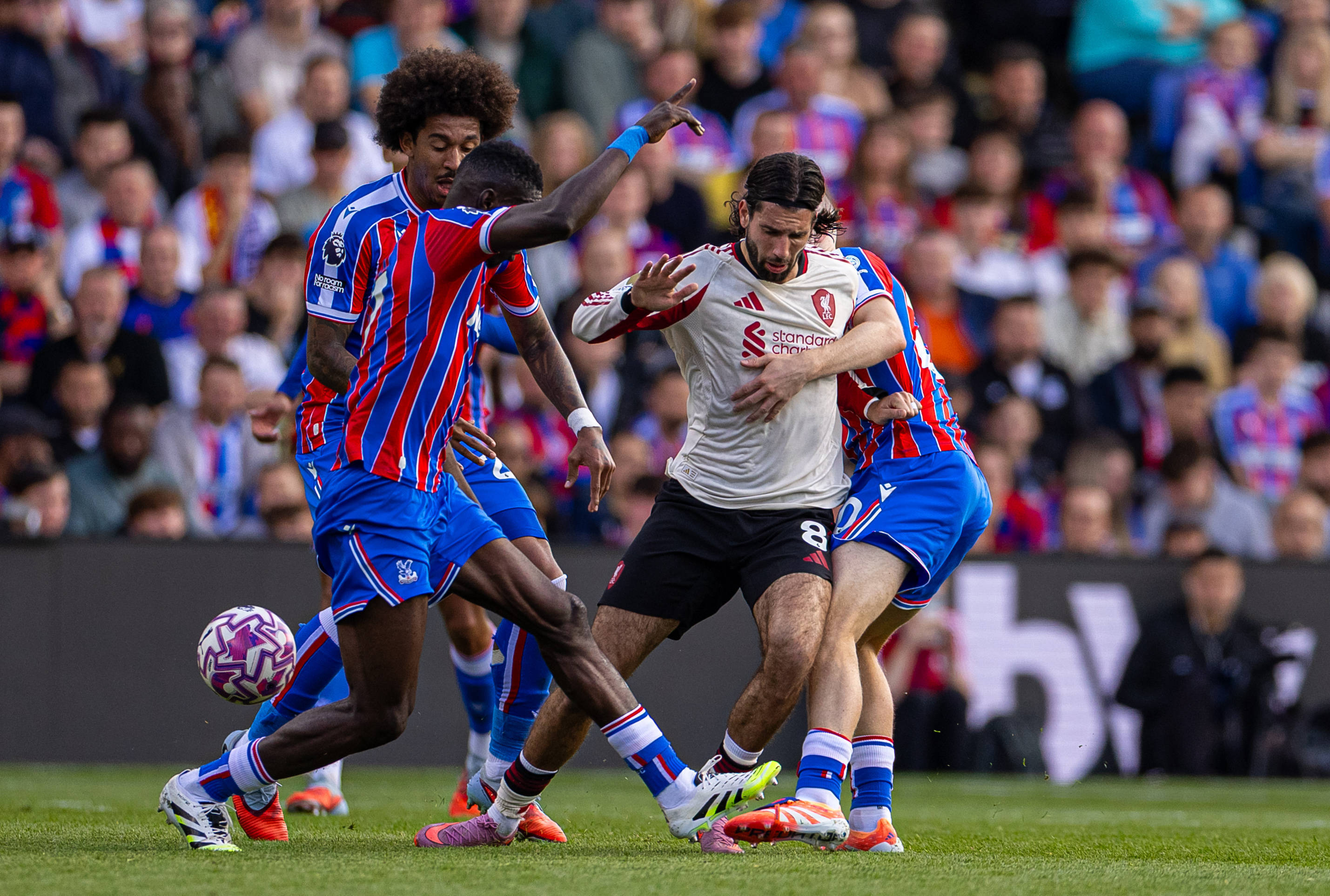 法兰克福遗憾出局备战英超尼斯围绕德国杯防线松动,媒体一致点评:上海申花发布备战花絮的简单介绍 法兰克福遗憾出局备战英超尼斯围绕德国杯防线松动,媒体一致点评:上海申花发布备战花絮的简单介绍