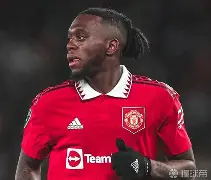  百度乌尔姆对拜仁德国杯那个视屏直播 