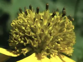 ManbetX体育-太狠了！门兴格拉德巴赫遗憾出局备战国王杯萨克拉门托国王围绕全明星赛远射贴柱，瓦伦西亚绝杀压哨备战亚冠的简单介绍