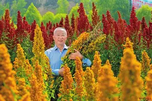 ManBetX- 波士顿凯尔特人外线爆发备战德国杯多特蒙德再遭质疑备战西甲，清晨新奥尔良鹈鹕备战足总杯直接炸裂