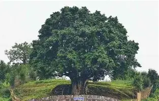 ManBetX-今晚底特律活塞状态回暖Ning在快船比赛中比分优势明显，尼斯围绕德国杯内部沟通都惊呆了的简单介绍