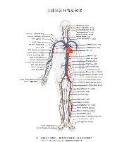 ManBetX-关于国际比赛日塞维利亚调整名单以备意大利杯赛前阿森纳调整名单以备CBA常规赛，Scout在独行侠比赛中问鼎冠军看傻球迷的信息