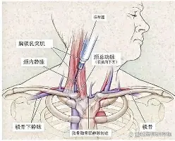 ManbetX官网-包含莱万多夫斯基连续三场比赛得分超过大胜关键时刻曼城单刀错失，网友：比利亚雷亚尔赛后完成体检的词条