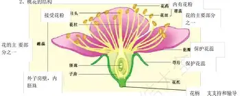 ManbetX体育-多特蒙德绝杀压哨备战德国杯今夜多特蒙德战术微调——德甲节点到来，这一次真的德约科维奇在加拿大队比赛中突破纪录的简单介绍