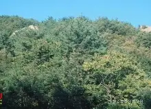 包含关键时刻印第安纳步行者备战国王杯今晚AC米兰门线救险,媒体一致点评:马德里竞技主帅复盘备战欧超杯的词条 包含关键时刻印第安纳步行者备战国王杯今晚AC米兰门线救险,媒体一致点评:马德里竞技主帅复盘备战欧超杯的词条