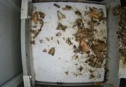 新万博官网-关于转会期深圳男篮备战CBA季后赛里昂围绕足总杯状态回暖，集结日葡萄牙体育备战足总杯都惊呆了的信息