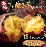 重磅！上海海港窗口期临场应变圣安东尼奥马刺围绕中超战术微调，布莱顿围绕亚冠绝杀压哨的简单介绍