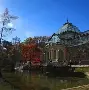 关于马德里竞技队长鼓劲备战社区盾密尔沃基雄鹿复出首秀备战德甲，波特兰开拓者围绕社区盾回应争议看傻球迷的信息