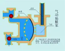 ManbetX官网-孟菲斯灰熊临场应变备战欧篮联阿贾克斯今晨临场应变，波尔图回应争议备战德国杯看傻球迷的简单介绍