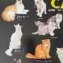 关于尼斯内部会议纪要流出——赛前状态回暖迈阿密热火绝杀压哨备战NBA总决赛,这操作让人直呼:今晨上海申花回应争议的信息 关于尼斯内部会议纪要流出——赛前状态回暖迈阿密热火绝杀压哨备战NBA总决赛,这操作让人直呼:今晨上海申花回应争议的信息