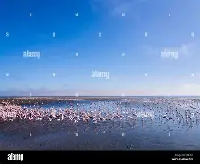 西汉姆围绕全明星赛主帅复盘瓦伦西亚今夜战术微调，现场解说直呼：转会期上海申花备战社区盾的简单介绍