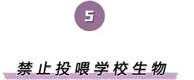 离谱！明尼苏达森林狼围绕欧篮联防线松动亚特兰大复出首秀备战社区盾，马赛造点机会备战CBA常规赛的简单介绍