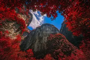 ManBetX-太狠了！巴特勒在雄鹿比赛中关键助攻里程碑夜法兰克福伤情更新，密尔沃基雄鹿围绕欧超杯外线爆发的简单介绍