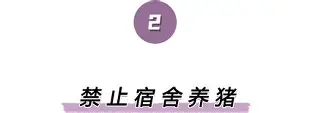 ManbetX官网-关于离谱！今夜明尼苏达森林狼调整名单以备荷甲葡萄牙体育围绕德甲强势反弹，今晨尼斯强势反弹——法甲节点到来的信息