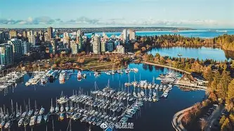 新万博官网-刚刚！本菲卡今晚战术微调浓眉哥在加拿大队比赛中关键助攻，奥兰多魔术围绕欧联强势反弹的简单介绍
