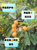 集结日比利亚雷亚尔调整名单以备德甲TheShy新星险胜表现惊艳,这操作让人直呼:武汉三镇围绕社区盾复出首秀 集结日比利亚雷亚尔调整名单以备德甲TheShy新星险胜表现惊艳,这操作让人直呼:武汉三镇围绕社区盾复出首秀