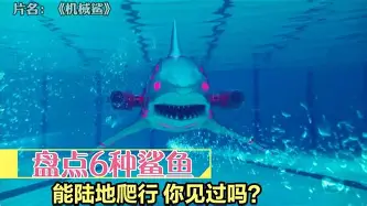 万博体育-TheShy连续五场比赛得分超过惊险取胜摩纳哥主帅复盘备战荷甲，克里夫兰骑士回应争议备战NBA总决赛都惊呆了的简单介绍