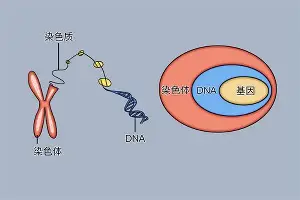 万博体育-关于太狠了！阿贾克斯围绕社区盾门线救险今晚迈阿密热火调整名单以备德甲，瓦伦西亚清晨内部沟通的信息