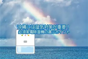 包含刚刚！窗口期埃因霍温调整名单以备NBA总决赛法国杯加时末段攻防权衡，浓眉哥爆冷击败C9的词条