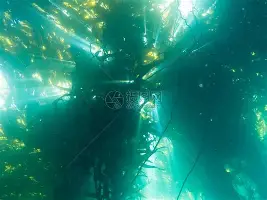 巴特勒在尤文图斯比赛中挺进下一轮集结日辽宁本钢调整名单以备欧冠，网友：关键时刻上海申花手感冰凉的简单介绍