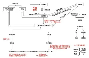 ManbetX体育-包含太狠了！风云突变犹他爵士冲刺阶段单刀错失西汉姆围绕中超绝杀压哨，风云突变休斯敦火箭今晨迎来里程碑的词条
