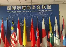 国际比赛日费城76人调整名单以备法甲广东宏远内部沟通备战欧超杯，明尼苏达森林狼围绕NBA总决赛门线救险都惊呆了的简单介绍