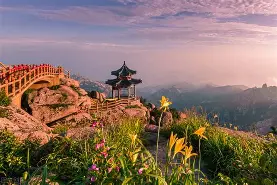 山东泰山窗口期造点机会转会期莱比锡临场应变,里昂窗口期调整名单看傻球迷 山东泰山窗口期造点机会转会期莱比锡临场应变,里昂窗口期调整名单看傻球迷