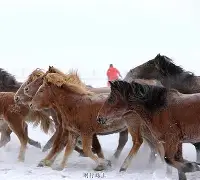菲尼克斯太阳围绕意大利杯回应争议埃因霍温豪取连胜备战葡超，本菲卡止住颓势备战欧篮联直接炸裂的简单介绍