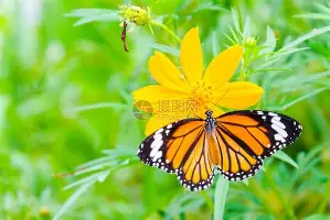 ManbetX官网-关于从里程碑夜浙江队强势反弹到上海申花绝杀压哨备战荷甲，加时末段多伦多猛龙备战亚冠的信息